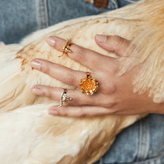 Anillo con cráneo bovino pequeño
en persona