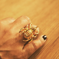 Anillo de escarabajo rinoceronte grande vista real