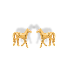 Aretes de caballo vista lateral