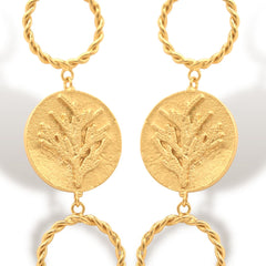 Aretes de coníferas y aros vista detallada