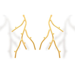 Aretes de coral vista frontal