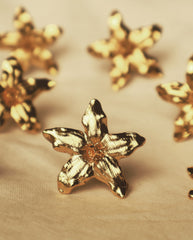 Aretes con flor de jazmín vista cercana