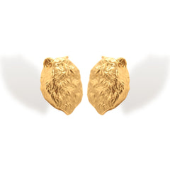 Aretes de gato peludo vista lateral