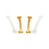 Aretes de hueso vista frontal