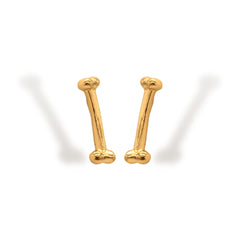 Aretes de hueso vista diagonal