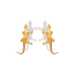 Aretes lagartija vista frontal