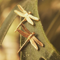 Aretes de libélula mediana vista detallada