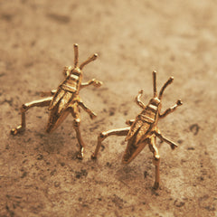 Aretes de saltamontes medianos vista lateral