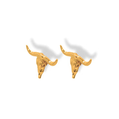 Aretes de cráneo bovino vista lateral