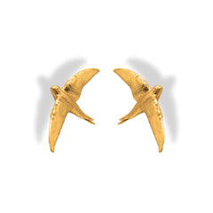 Aretes de vencejo vista lateral