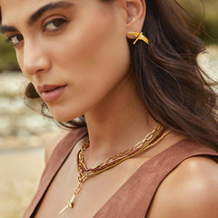 Aretes de vencejo en modelo