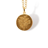 Cadena de conífera vista cercana