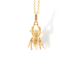 Cadena con escarabajo pequeño vista cercana