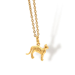 Cadena de gato con manchas cuerpo completo vista cercana