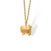 Cadena de gato peludo cuerpo completo vista diagonal