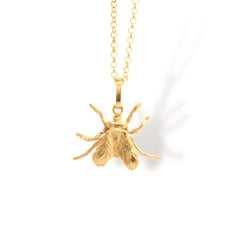 Cadena con mosca pequeña vista cercana