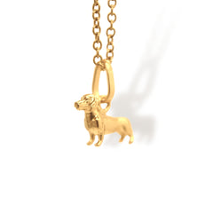 Cadena de perro salchicha vista lateral