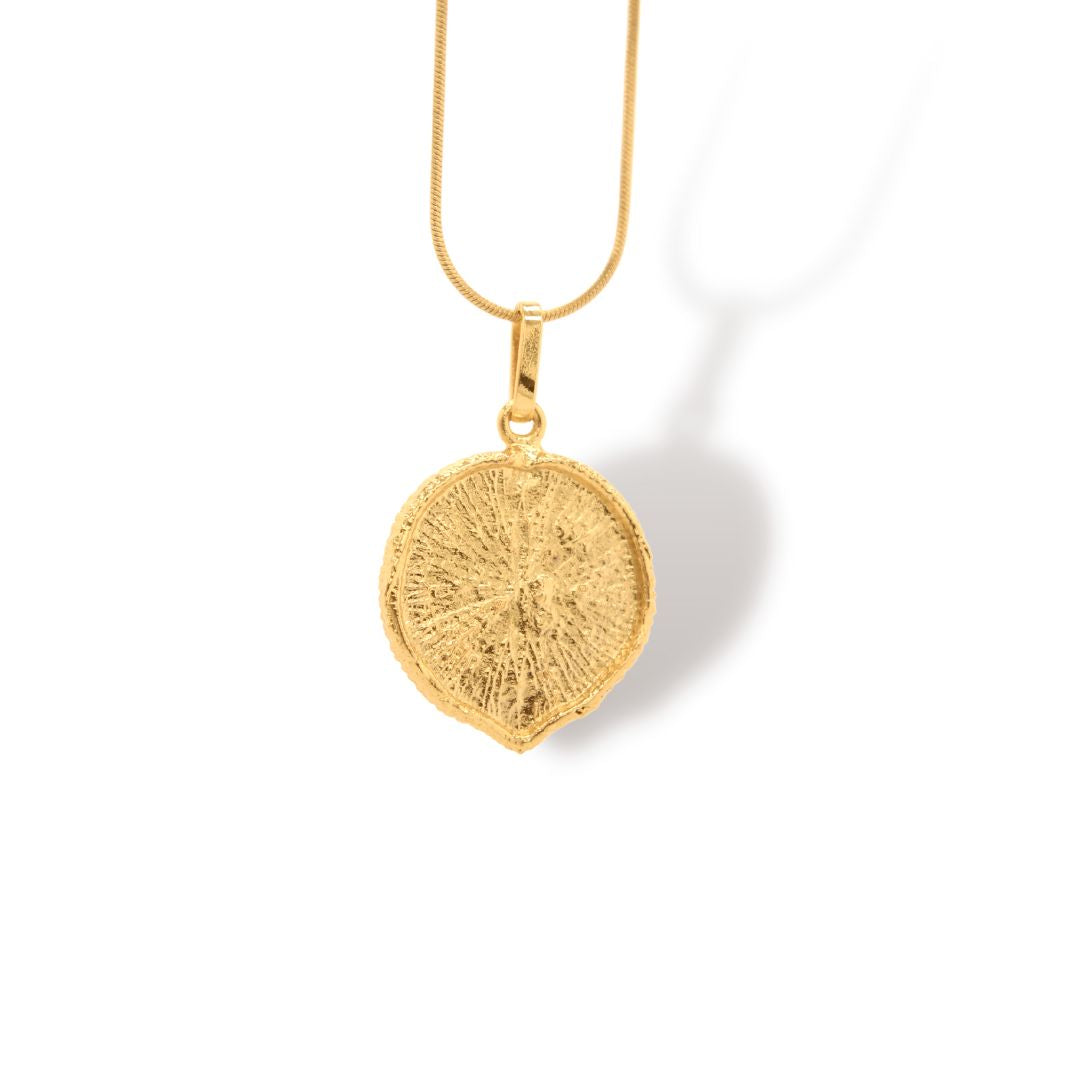 Cadena con hoja de victoria regia vista cercana Brezo Jewelry