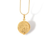 Cadena con hoja de victoria regia vista cercana