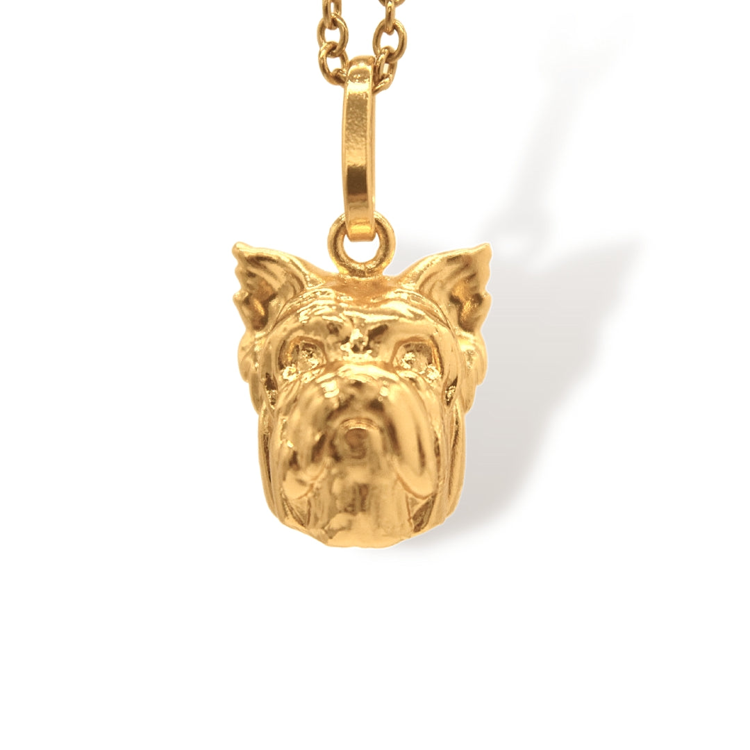 Cadena de Yorkie vista cercana Brezo Jewelry