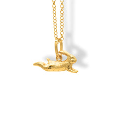 Cadena con liebre saltando pequeña vista cercana