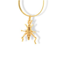 Cadena con saltamontes mediano vista cercana