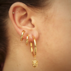 Candongas medianas de yorkie sobre persona