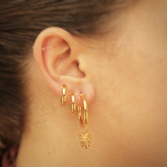 Candongas pequeñas de yorkie sobre persona