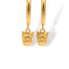 Candongas medianas de yorkie vista cercana