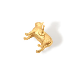 Pin de gato vista posterior