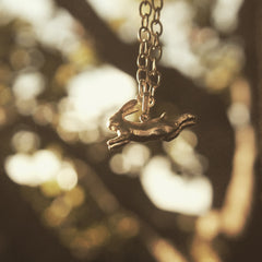 Cadena con liebre saltando vista frontal