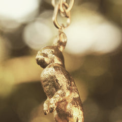 Cadena con liebre vista detallada