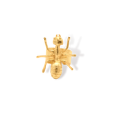 Anillo de hormiga grande vista frontal