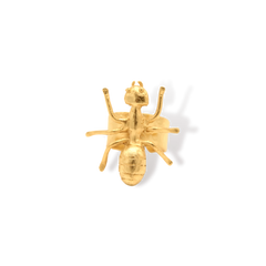 Anillo de hormiga grande vista frontal