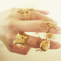 Anillo de hormiga grande vista real