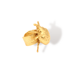 Anillo de mariquita grande vista lateral