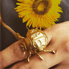 Anillo de mariquita grande vista real