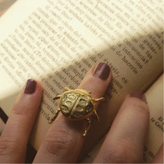 Anillo de mariquita pequeña vista real