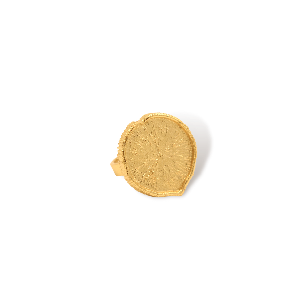 Anillo con hoja de de victoria regia vista frontal Brezo Jewelry