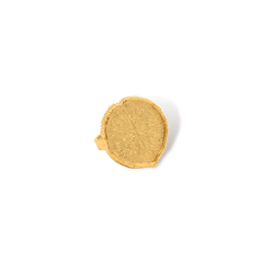 Anillo con hoja de de victoria regia vista frontal