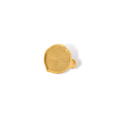 Anillo con hoja de victoria regia vista lateral