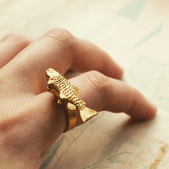 Anillo de trucha vista real