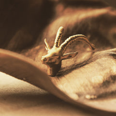 Aretes de antílope vista detallada