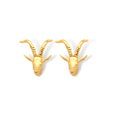 Aretes de antílope vista frontal