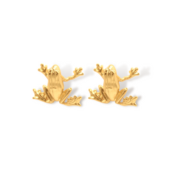 Aretes de rana grande vista diagonal