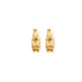 Aretes de lienre vista frontal