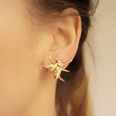 Aretes de mosca vista real