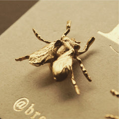 Aretes de mosca vista detallada