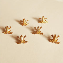 Aretes de rana pequeña varios