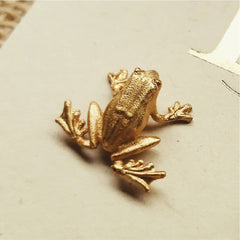 Aretes de rana pequeña vista detallada